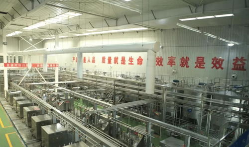 中國(guó)飲料界的超級(jí)單品 年銷40億罐，鑄就百億餐飲服務(wù)帝國(guó)