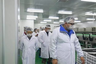 快樂(lè)購(gòu)游大漠紅景區(qū) 枸杞田里拍大片 餐飲服務(wù)體驗(yàn)全攻略